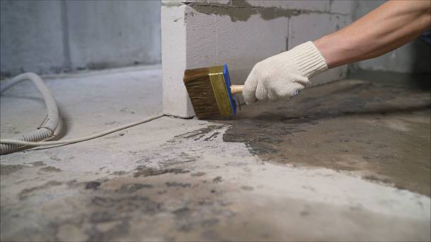 SJ Waterproofing Pros Crawl Space Encapsulation coverage map for Lake, MI and surrounding area